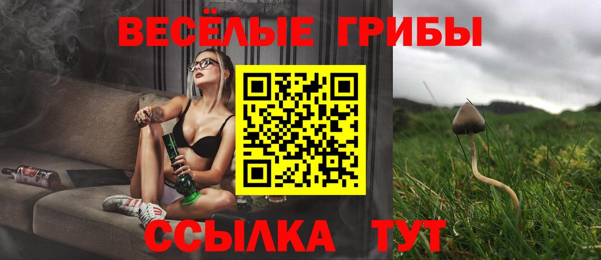 Красноярск  Галлюциногенные грибы мицелий  Вход с VPN 